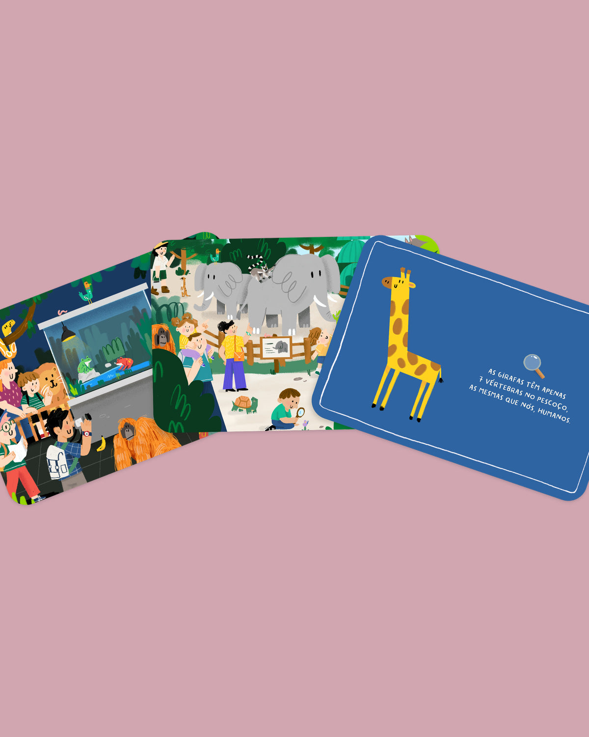 Procura e Encontra no ZOO - Jogos de Cartas - The Happy Gang